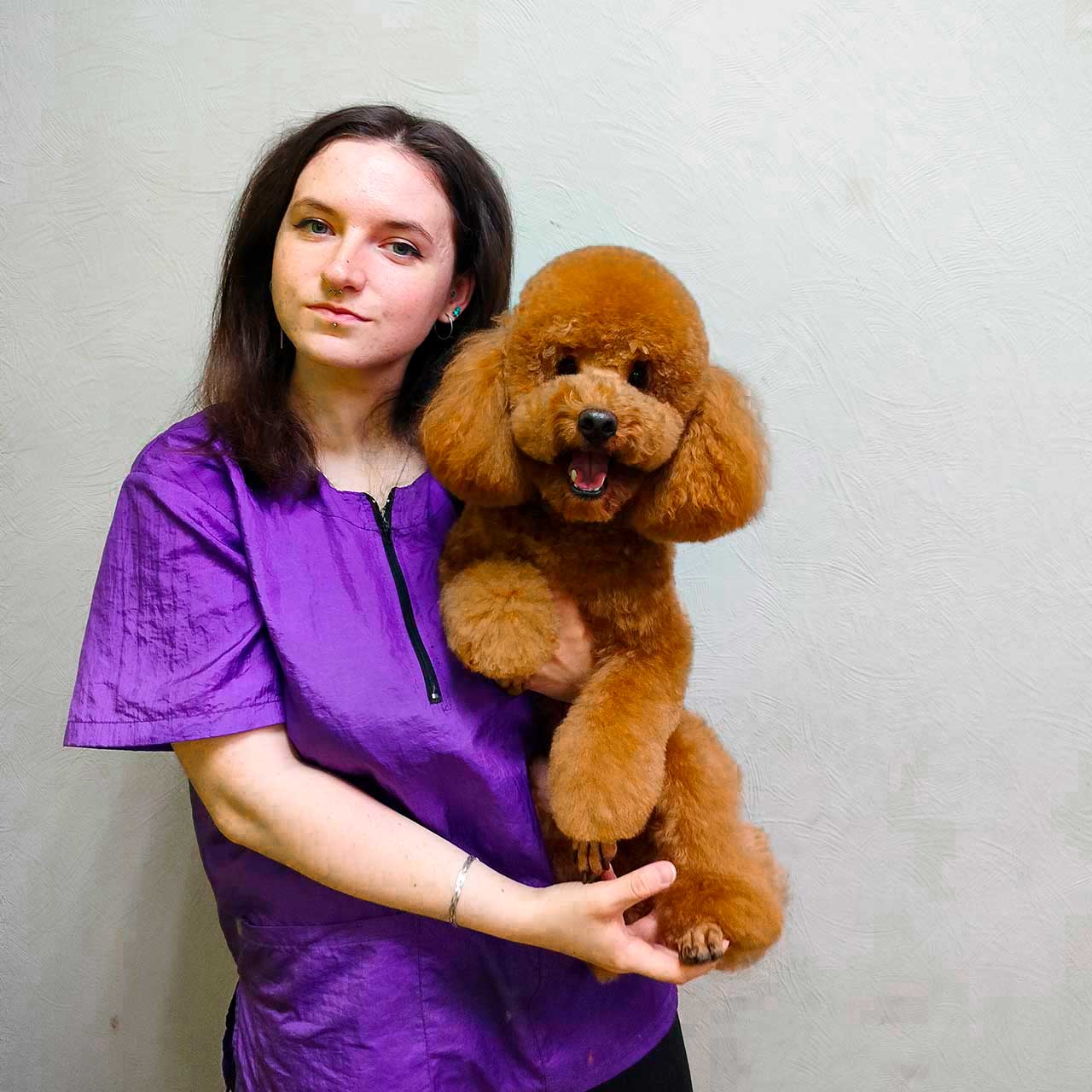 Татьяна, груминг собак